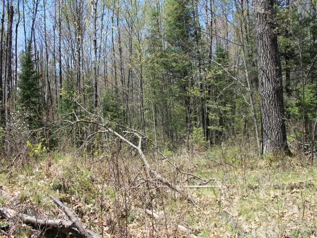 19081 Erickson Drive Dunbar, WI 54119 - Photo 62 of 87