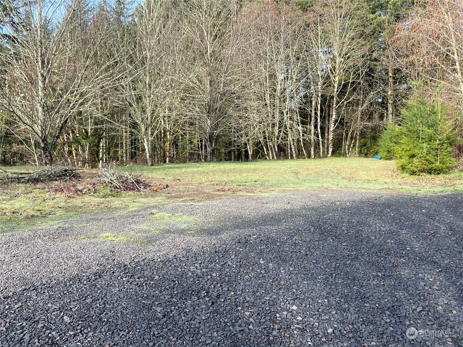 254 Tangen Road Woodland, WA 98674 - Photo 15 of 26 Gallery Image 15