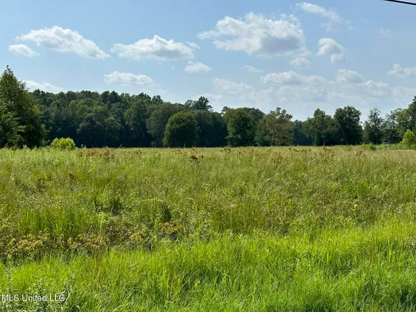 $400,000 | Undisclosed Address, Meridian, MS 39301