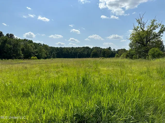 $400,000 | Undisclosed Address, Meridian, MS 39301