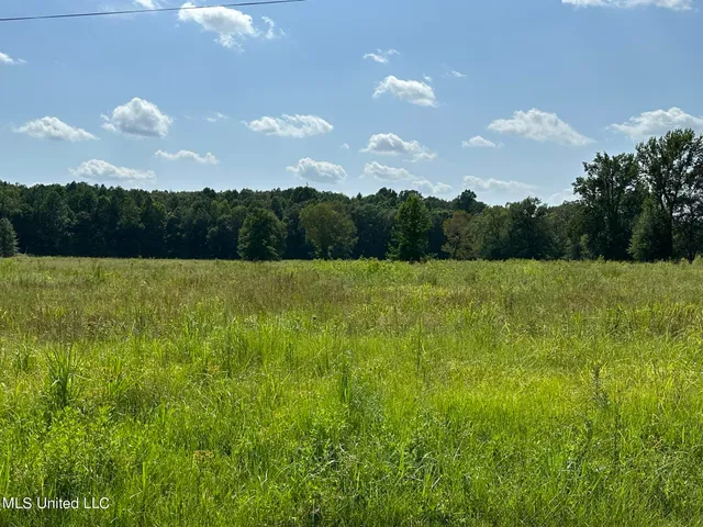 $400,000 | Undisclosed Address, Meridian, MS 39301