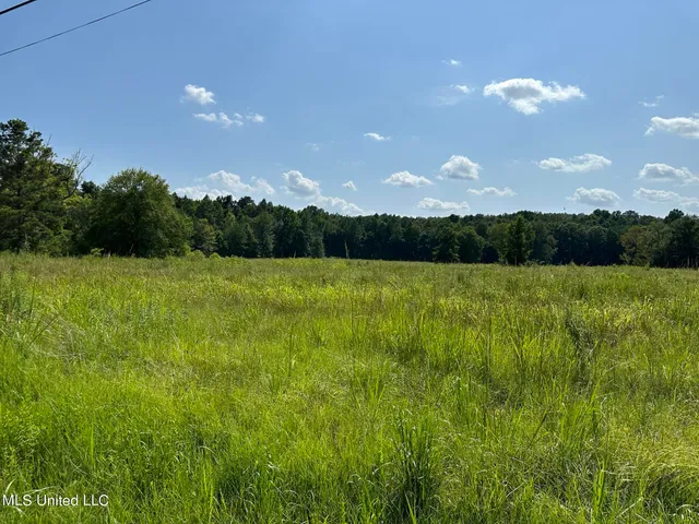 $400,000 | Undisclosed Address, Meridian, MS 39301