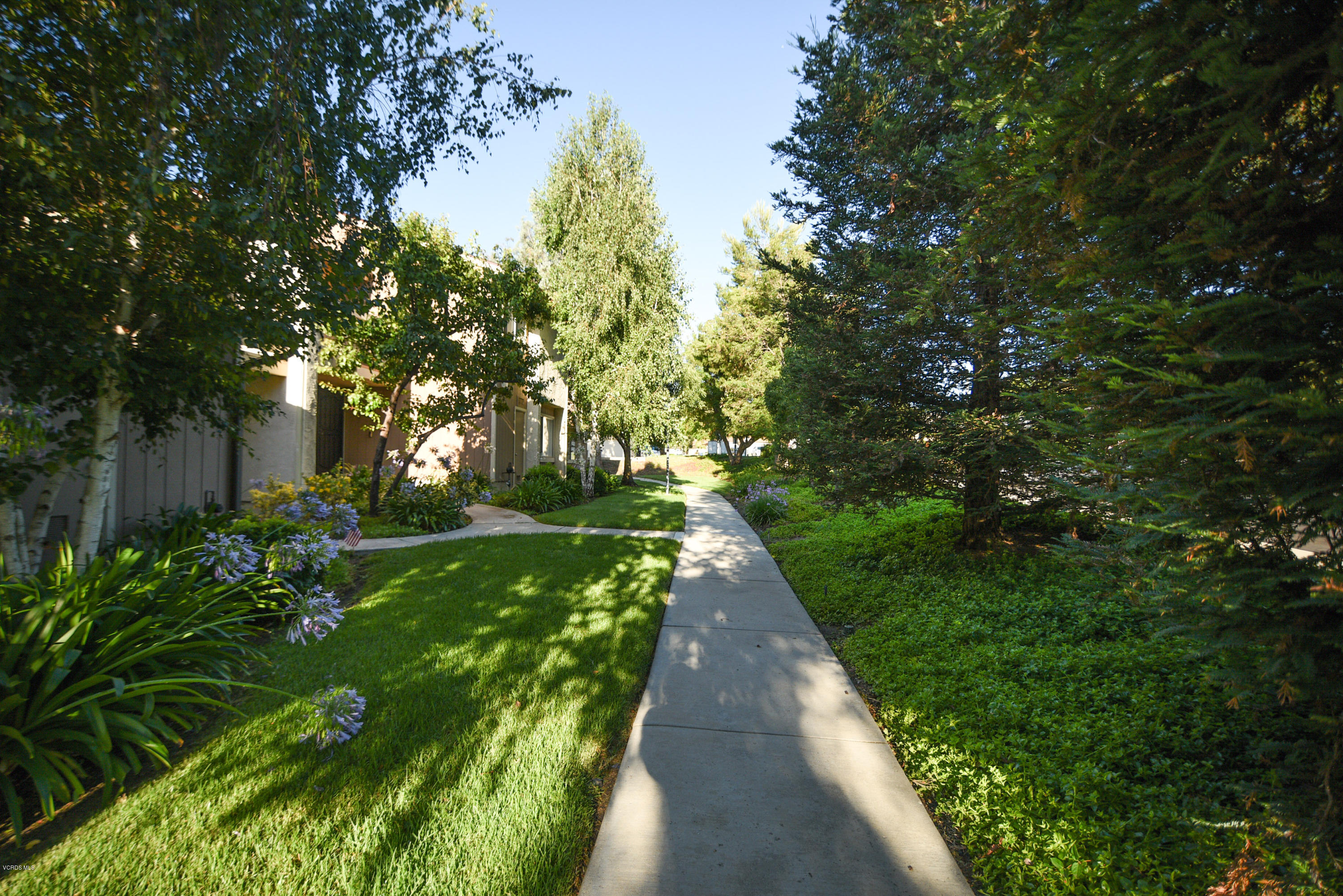 14804 Reedley Street, Unit B Moorpark, CA 93021 - Photo 36 of 44 daddio5-4