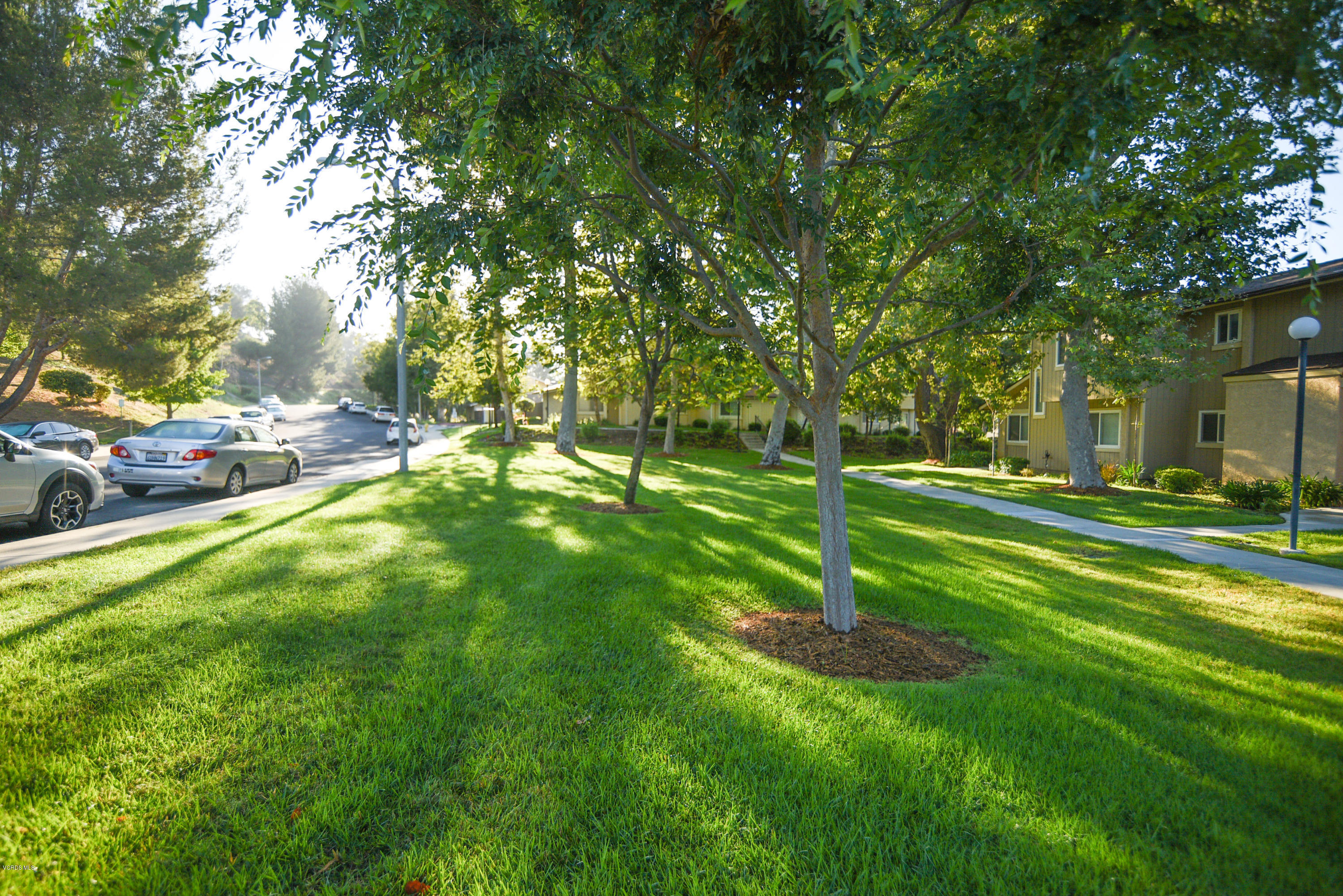 14804 Reedley Street, Unit B Moorpark, CA 93021 - Photo 39 of 44 daddio5-3