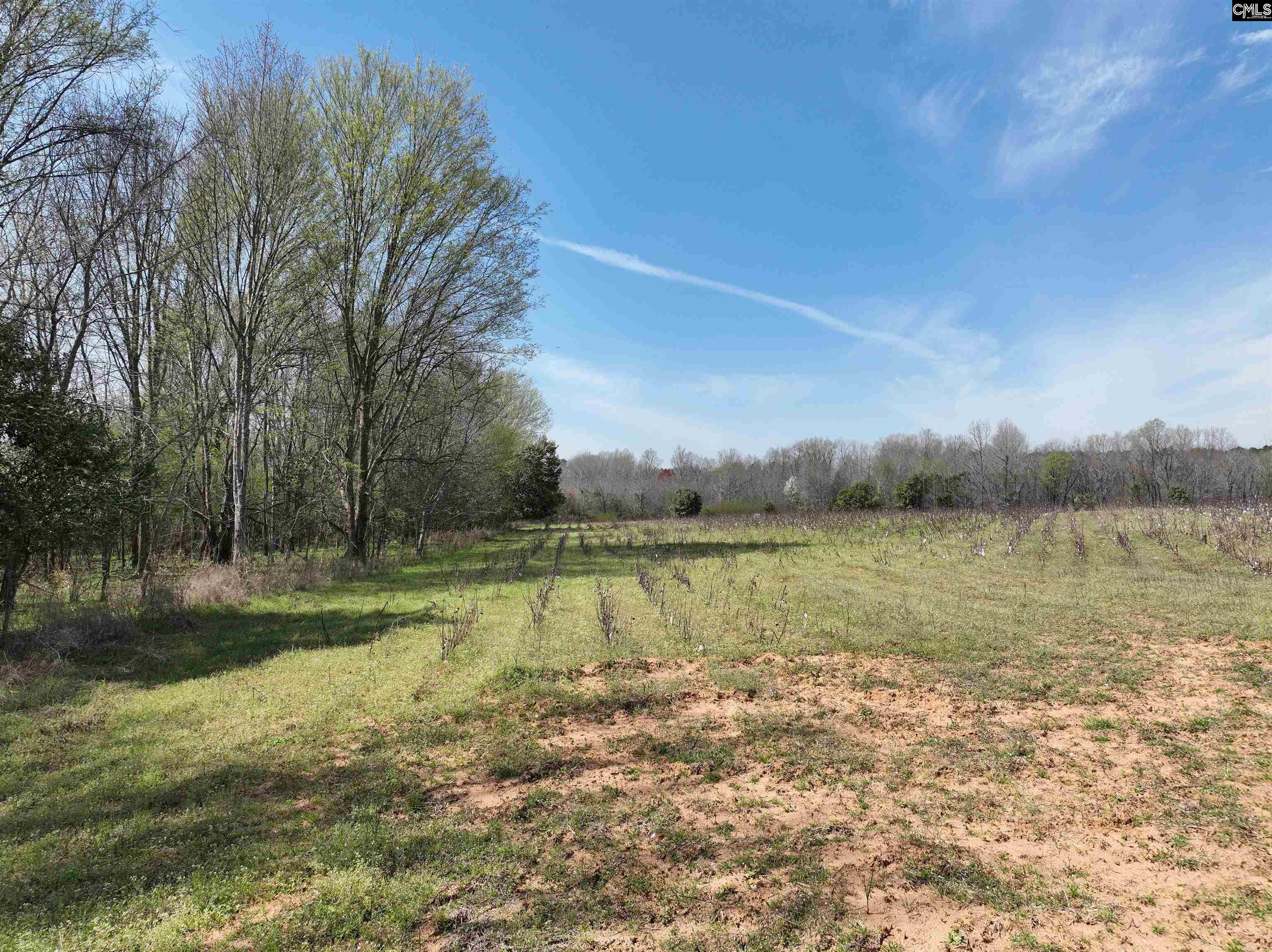0 Dr Boylston Road Salley, SC 29137 - Photo 35 of 41