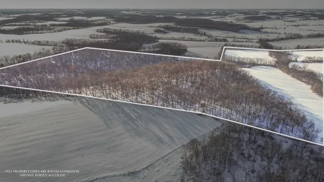 a view of a water fountain