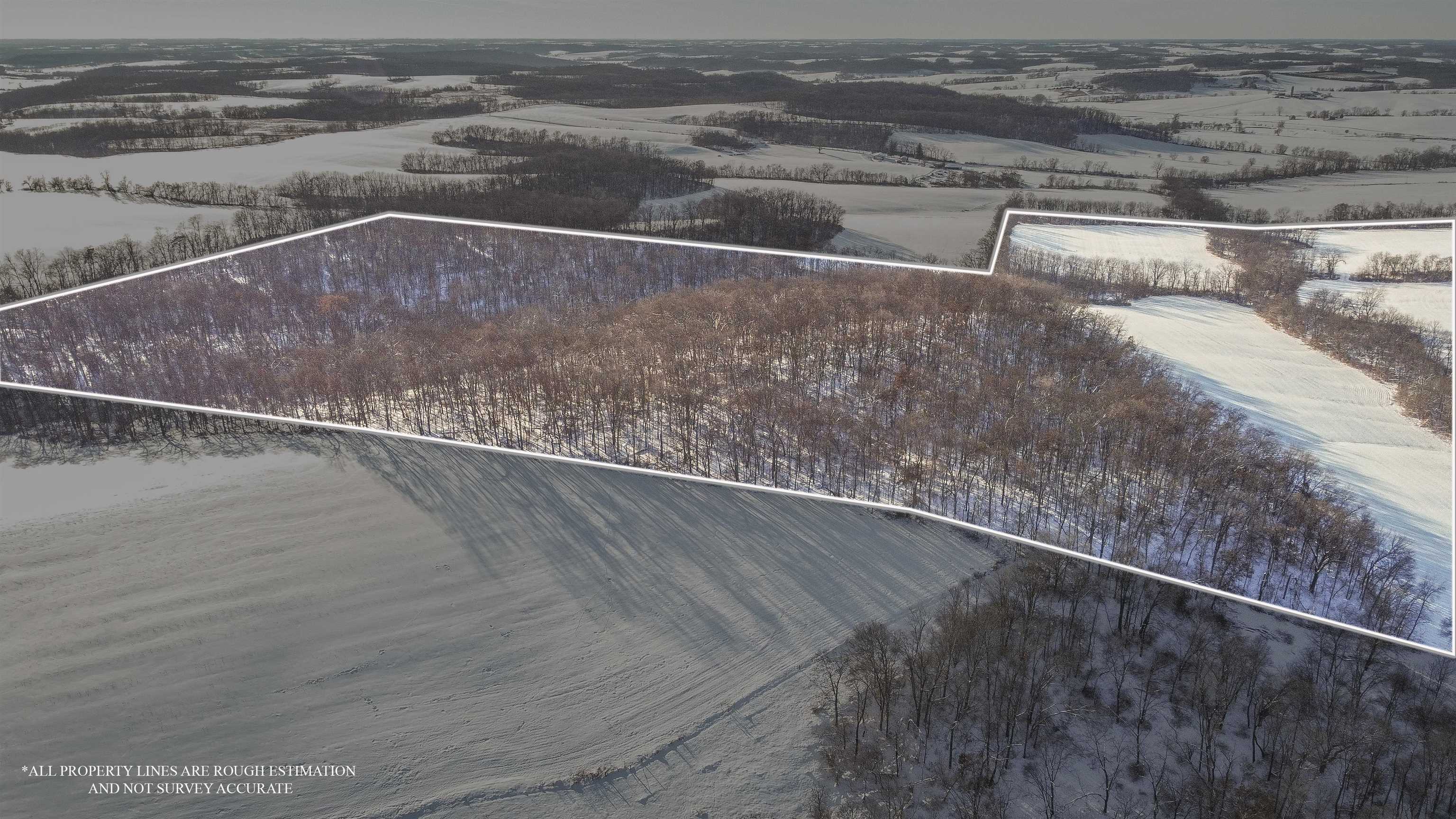 Tbd Hairpin Road Stockton, IL 61085 - Photo 11 of 22 a view of wooden floor