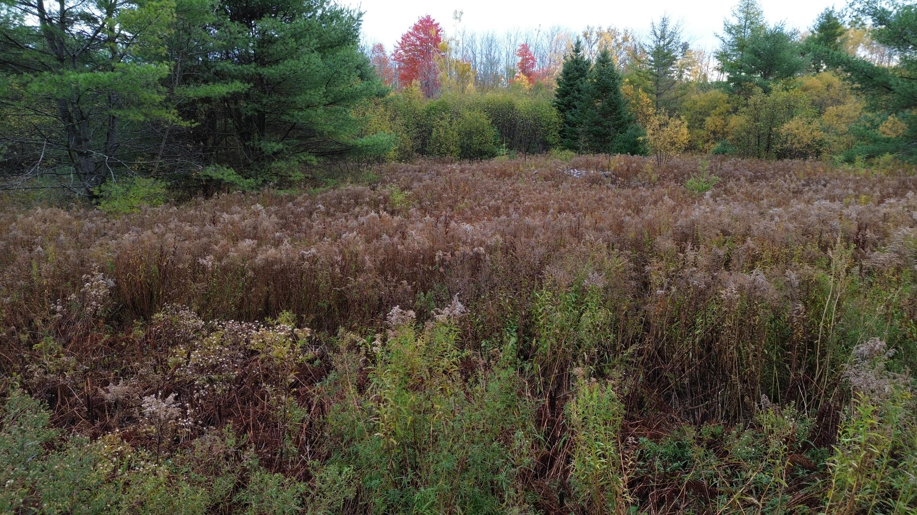 Map5-lot1 Silvers Mills Road Sangerville, ME 04479 - Photo 3 of 33