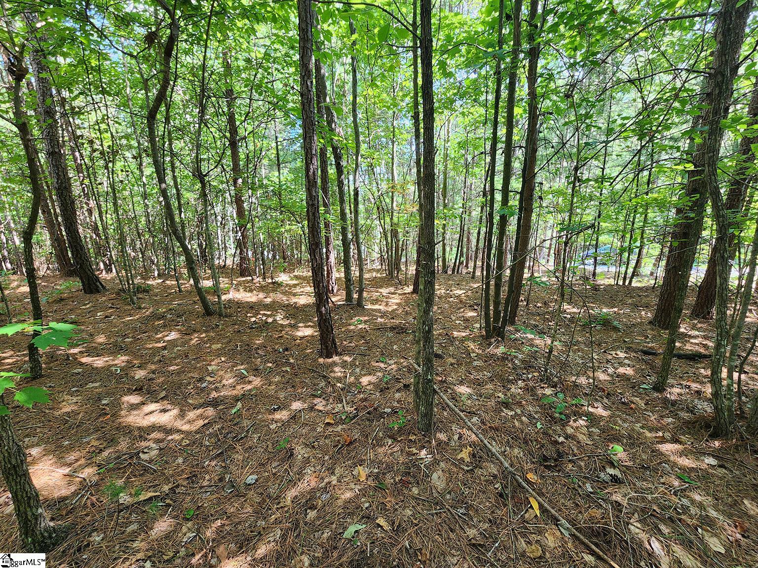 214 Jocassee Ridge Way Salem, SC 29676 - Photo 11 of 18 Young Pines