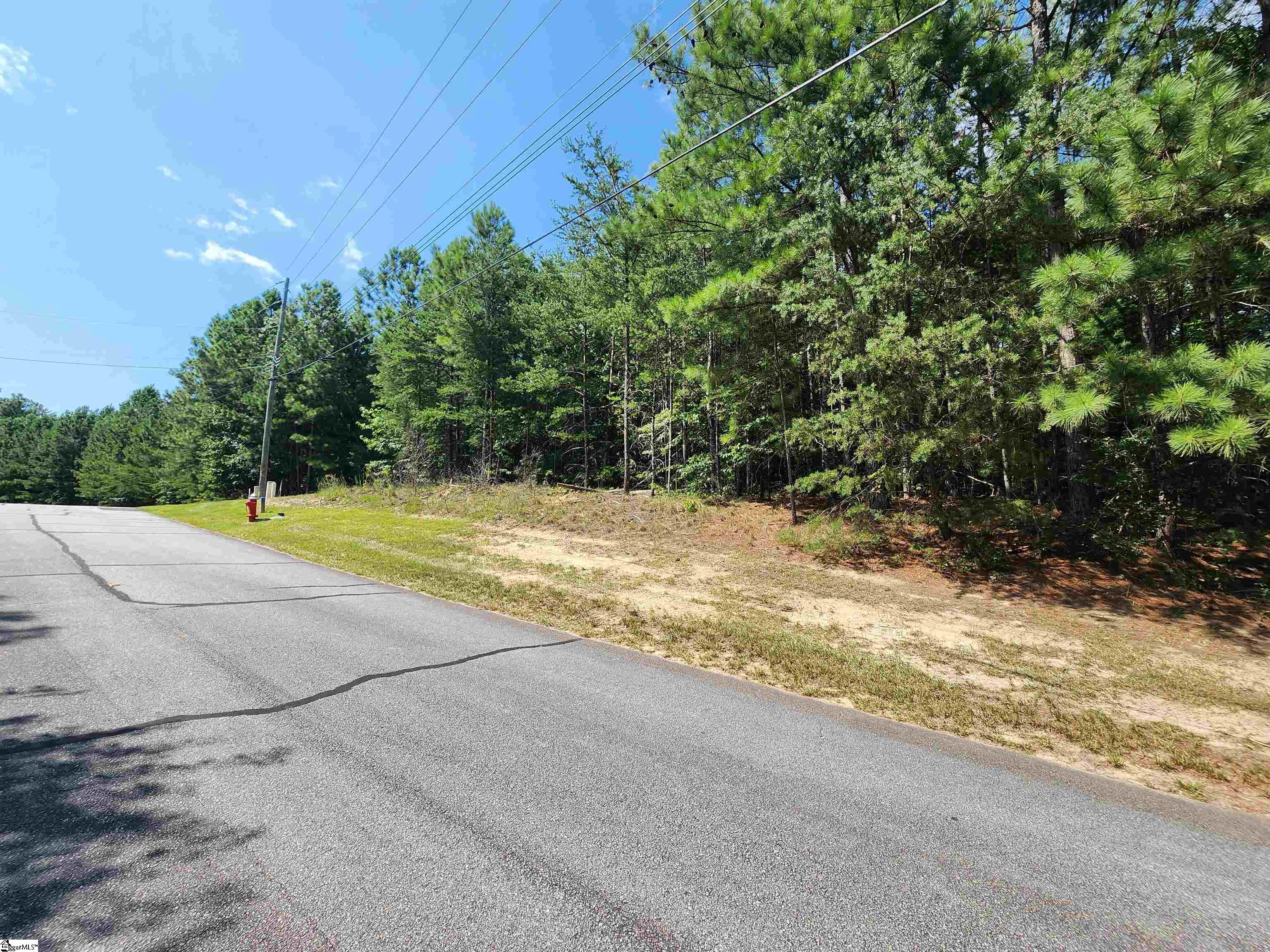 214 Jocassee Ridge Way Salem, SC 29676 - Photo 6 of 18 Gallery Image 6