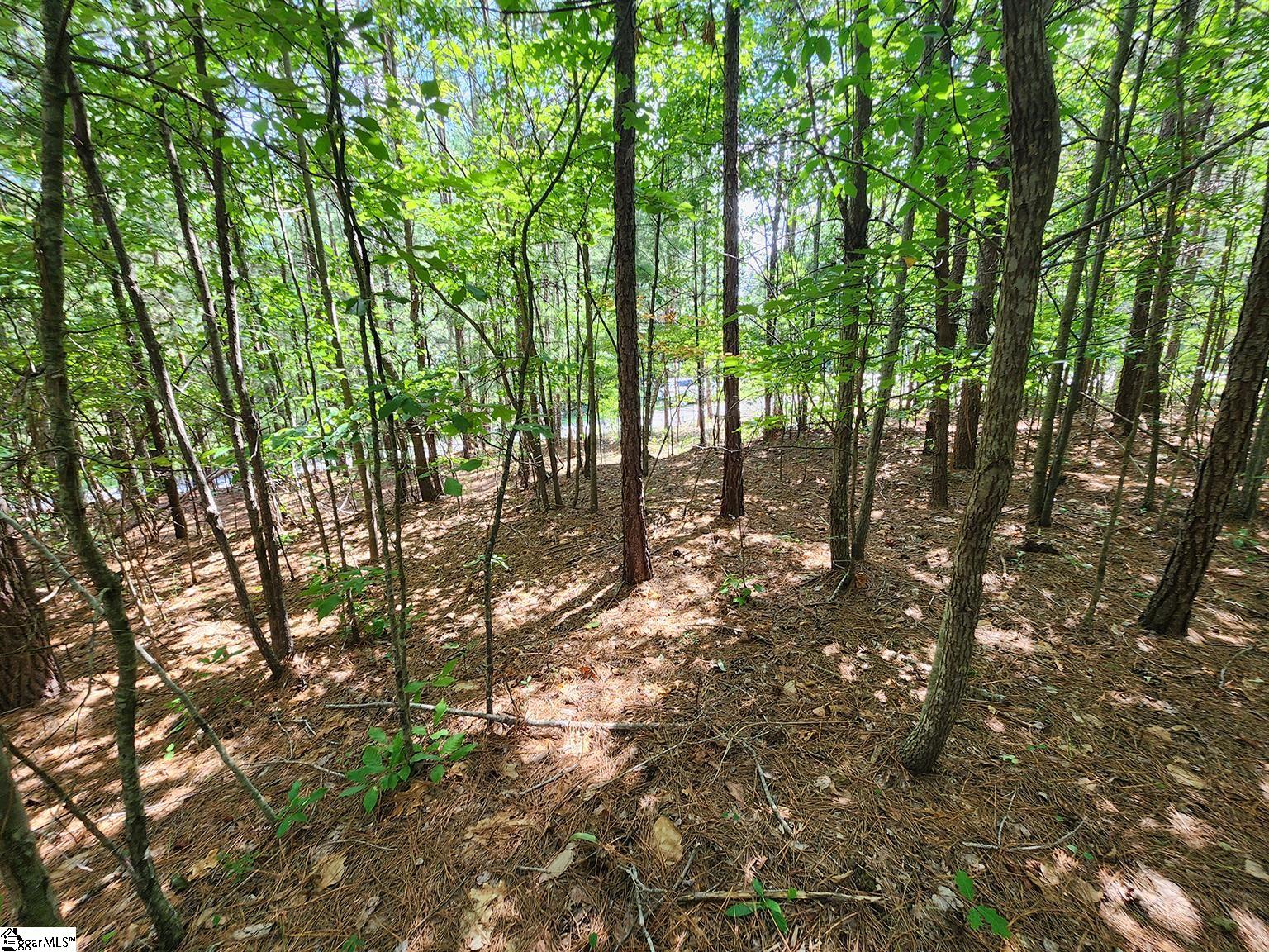 214 Jocassee Ridge Way Salem, SC 29676 - Photo 10 of 18 Young Pines throughout Lot