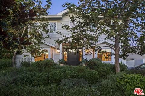 a plant is in front of a building