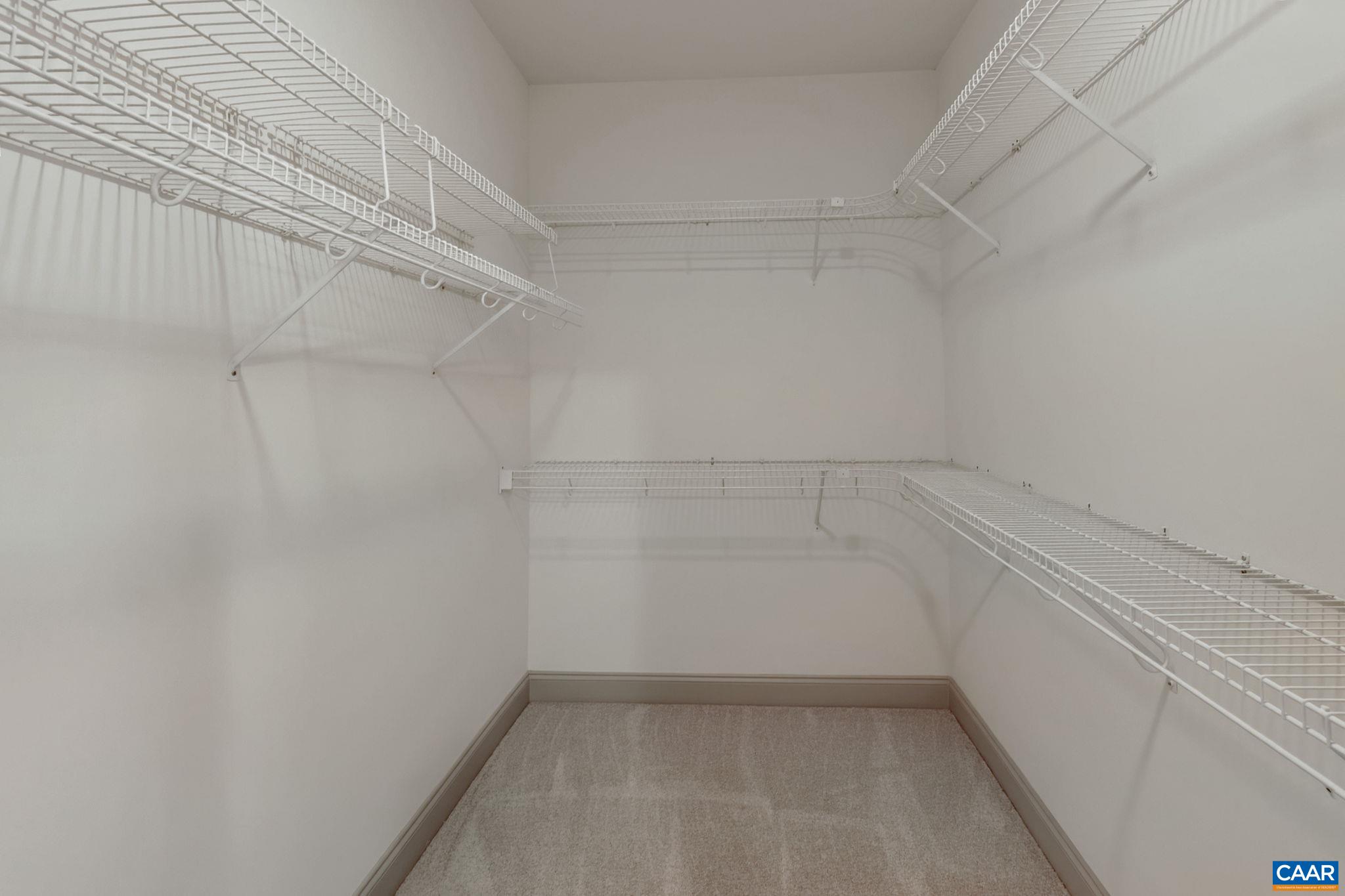 14 Cliftwood Road Palmyra, VA 22963 - Photo 21 of 42 Primary Closet