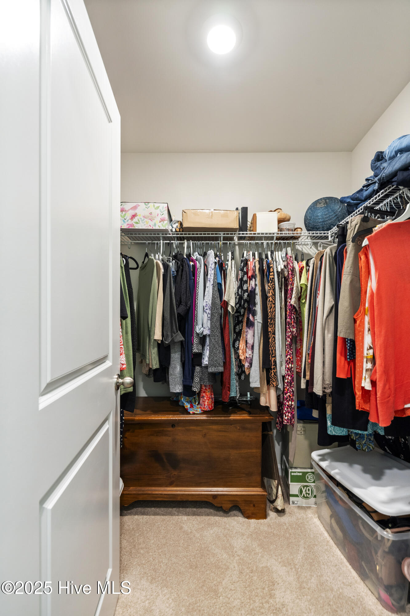 403 Stratton Place Washington, NC 27889 - Photo 15 of 23 403 Stratton Pl. WIC