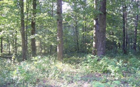 10 Meadow Woods Blue Ridge Blue Ridge, GA 30513 - Photo 1 of 1 Main View