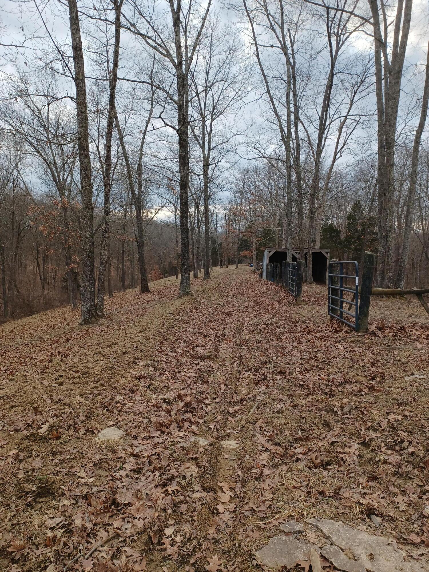 590 Leaning Oak Road Corinth, KY 41010 - Photo 33 of 35
