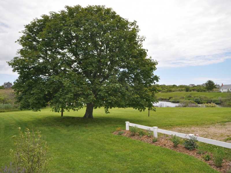 632 Corn Neck Road Block Island, RI 02807 - Photo 21 of 21 Yard/Garden.