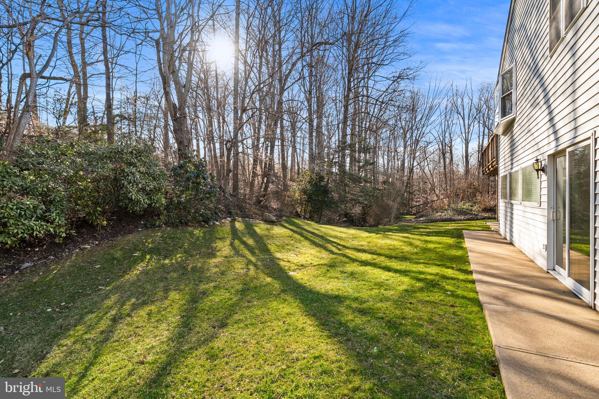 7630 Chancellor Way Springfield, VA 22153 - Photo 13 of 73 Peaceful Views in all Seasons