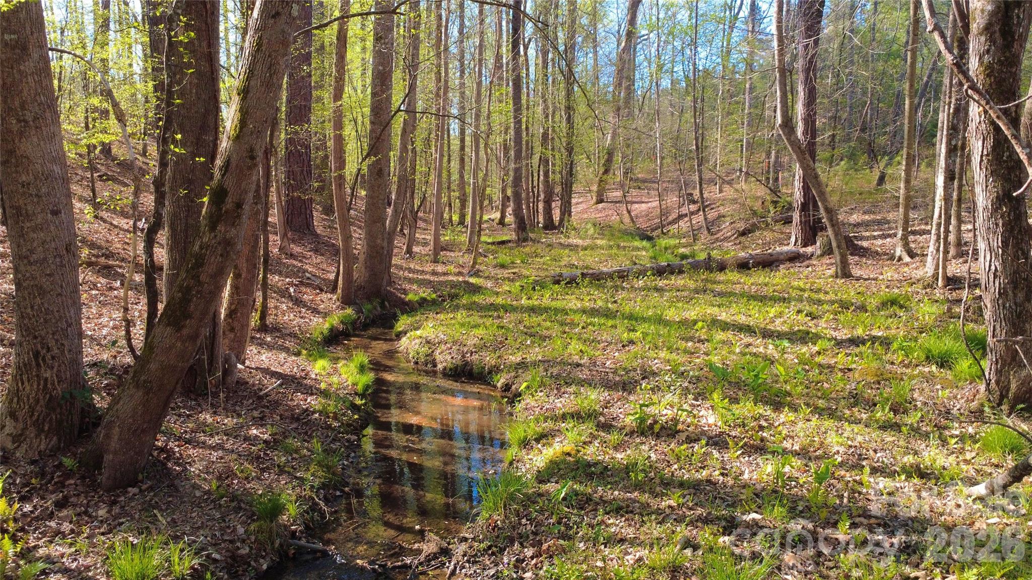 0 Bobby Faucette Road, Unit 9 Jonesville, SC 29353 - Photo 1 of 14 a backyard of a house with lots of green space