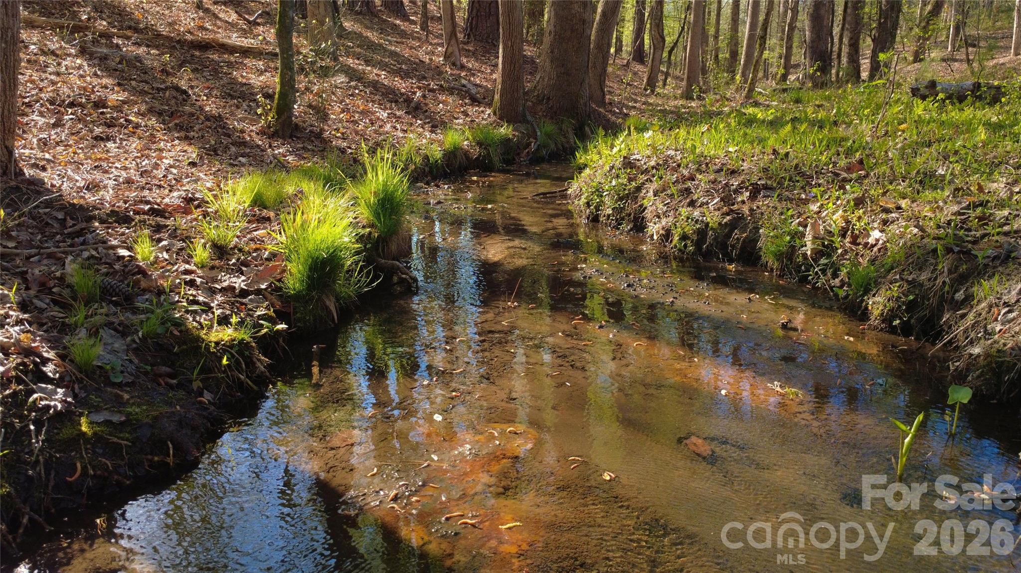 0 Bobby Faucette Road, Unit 9 Jonesville, SC 29353 - Photo 11 of 14