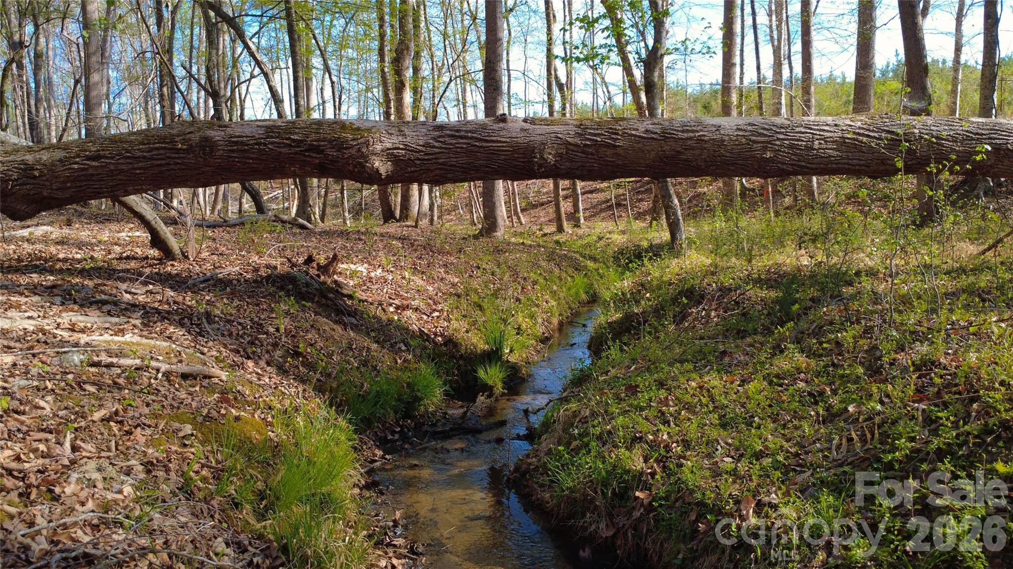 0 Bobby Faucette Road, Unit 9 Jonesville, SC 29353 - Photo 12 of 14