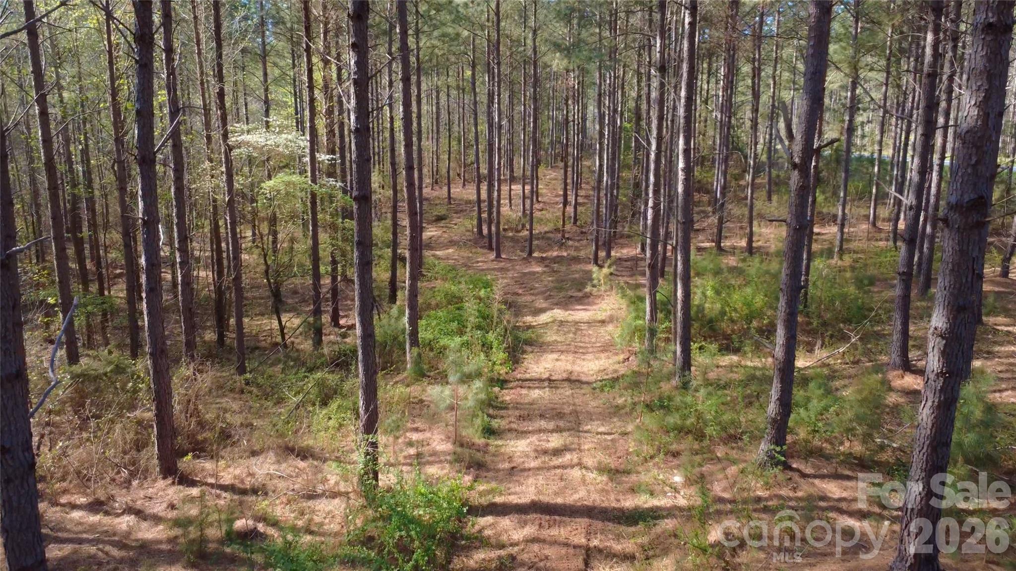 0 Bobby Faucette Road, Unit 9 Jonesville, SC 29353 - Photo 5 of 14 a view of outdoor space with garden