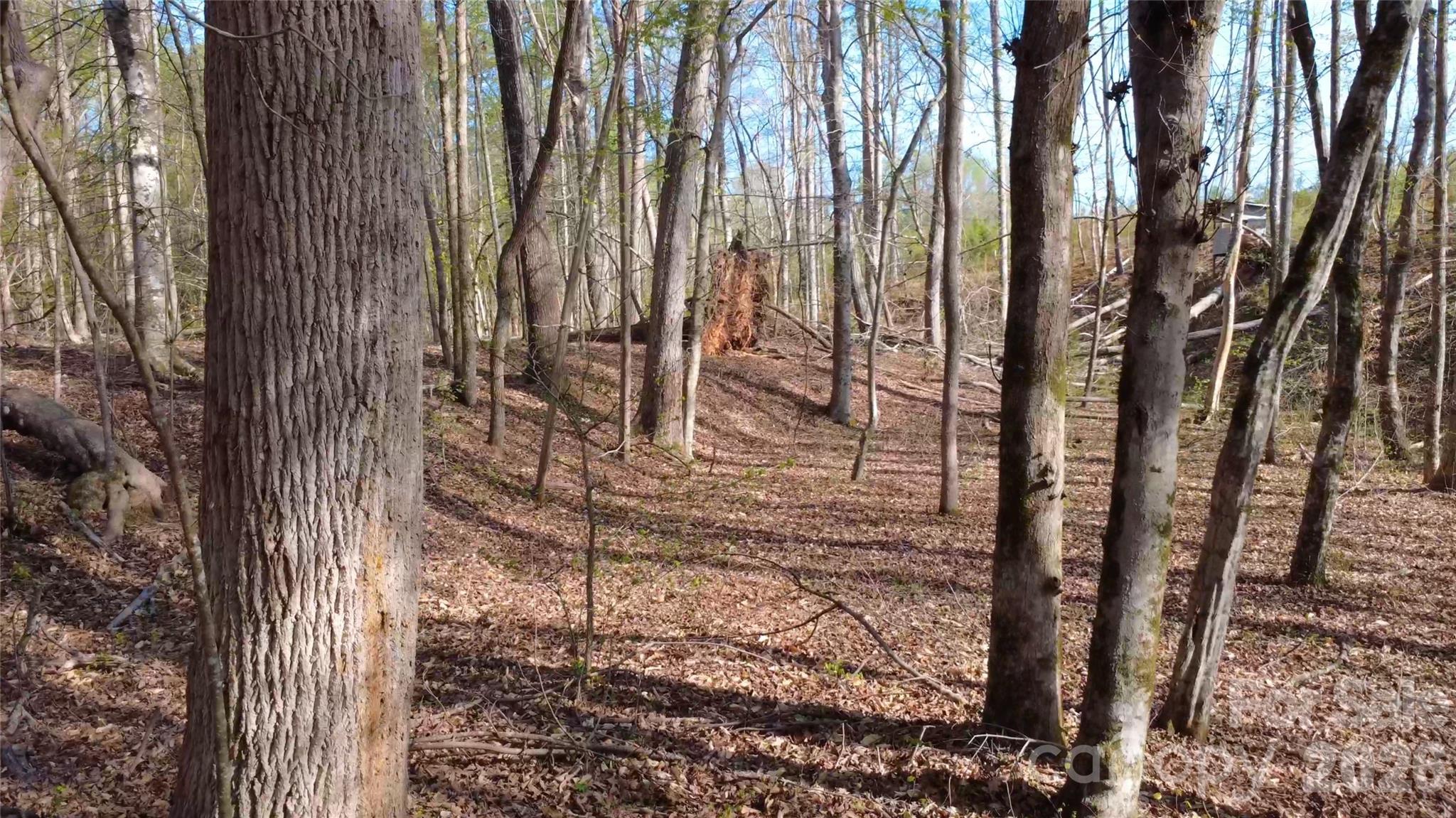 0 Bobby Faucette Road, Unit 9 Jonesville, SC 29353 - Photo 9 of 14