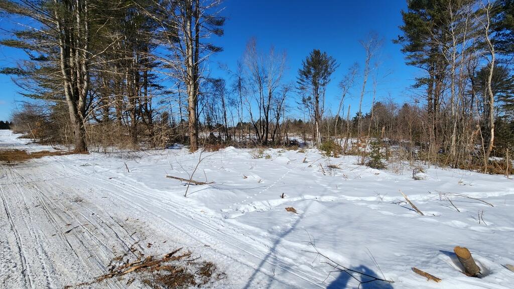 Lot 45 Embden Pond Road North Anson, ME 04958 - Photo 4 of 22 20240220_102403_resized
