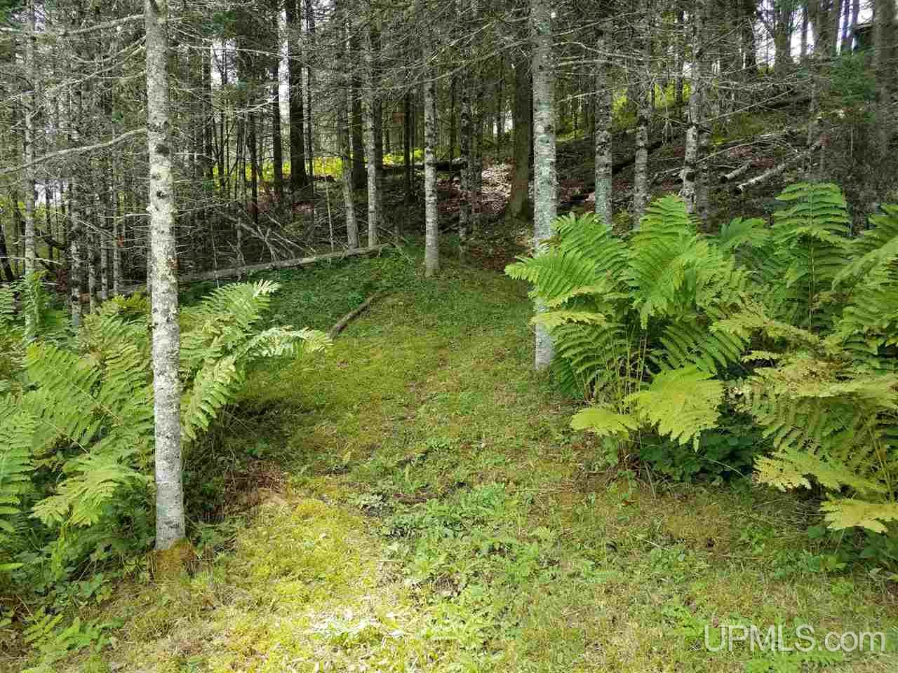 1640 Town Rd K Florence, WI 54121 - Photo 8 of 14