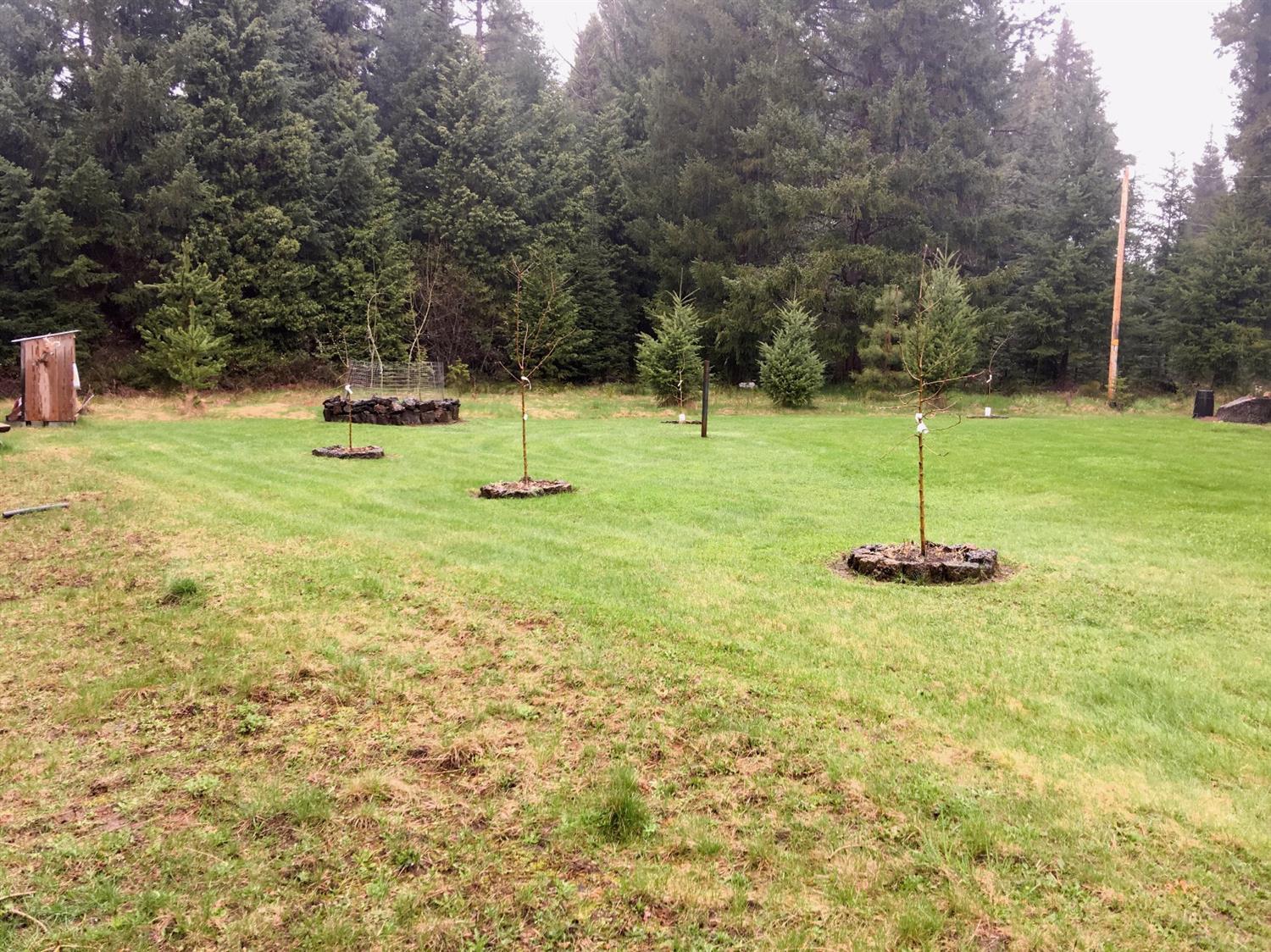 345 Red Blanket Road Prospect, OR 97536 - Photo 26 of 30 Additional Photo
