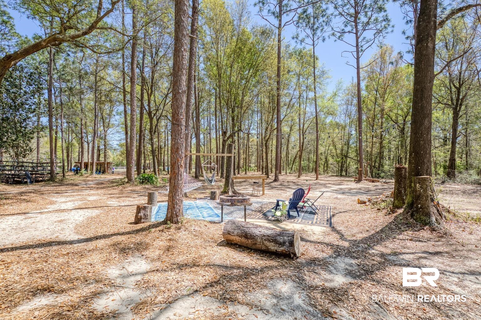 19288 3 Rivers Road Seminole, AL 36574 - Photo 25 of 26 Firepit