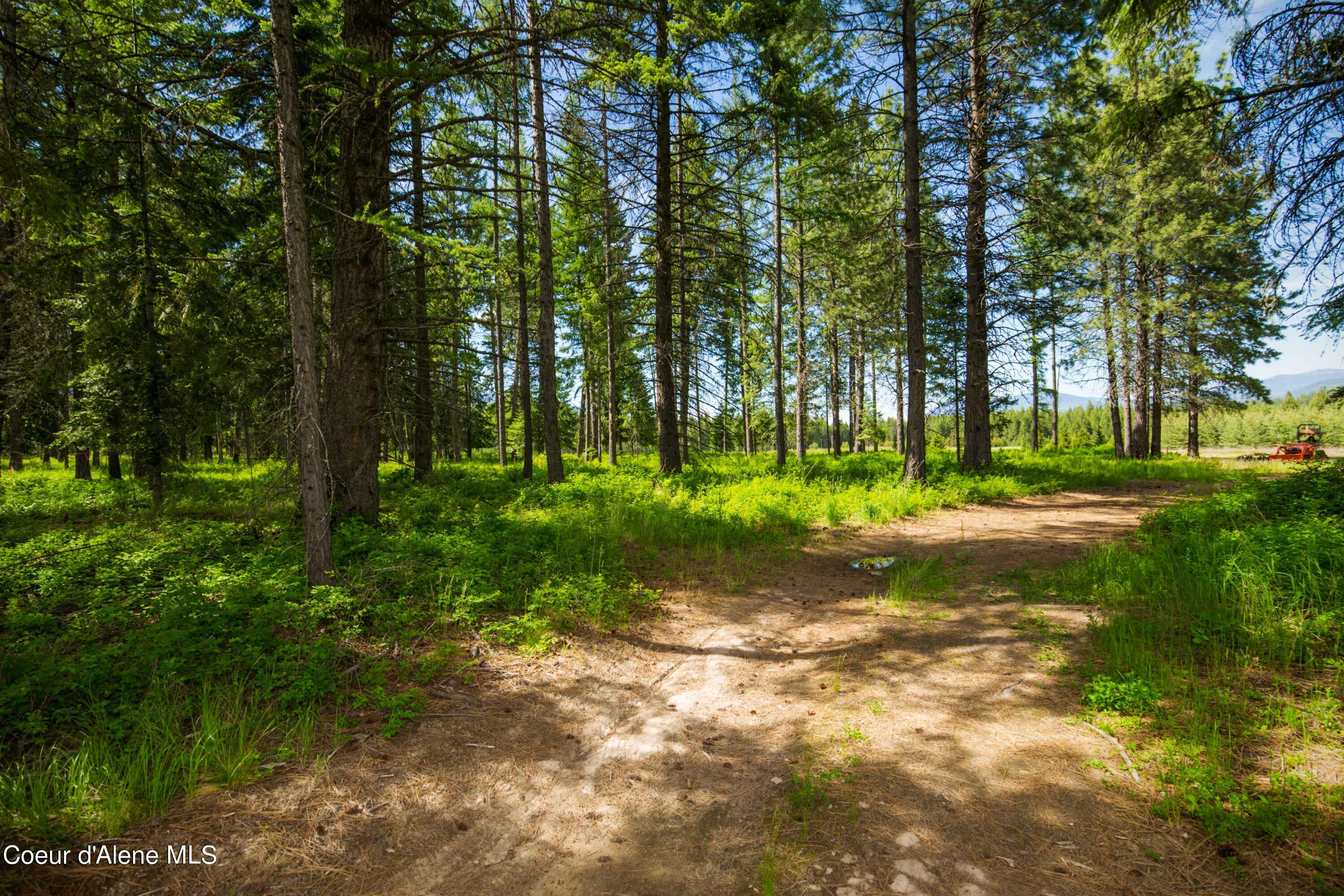 Nna Holmes Road Bonners Ferry, ID 83805 - Photo 2 of 22 NNA Holmes Rd
