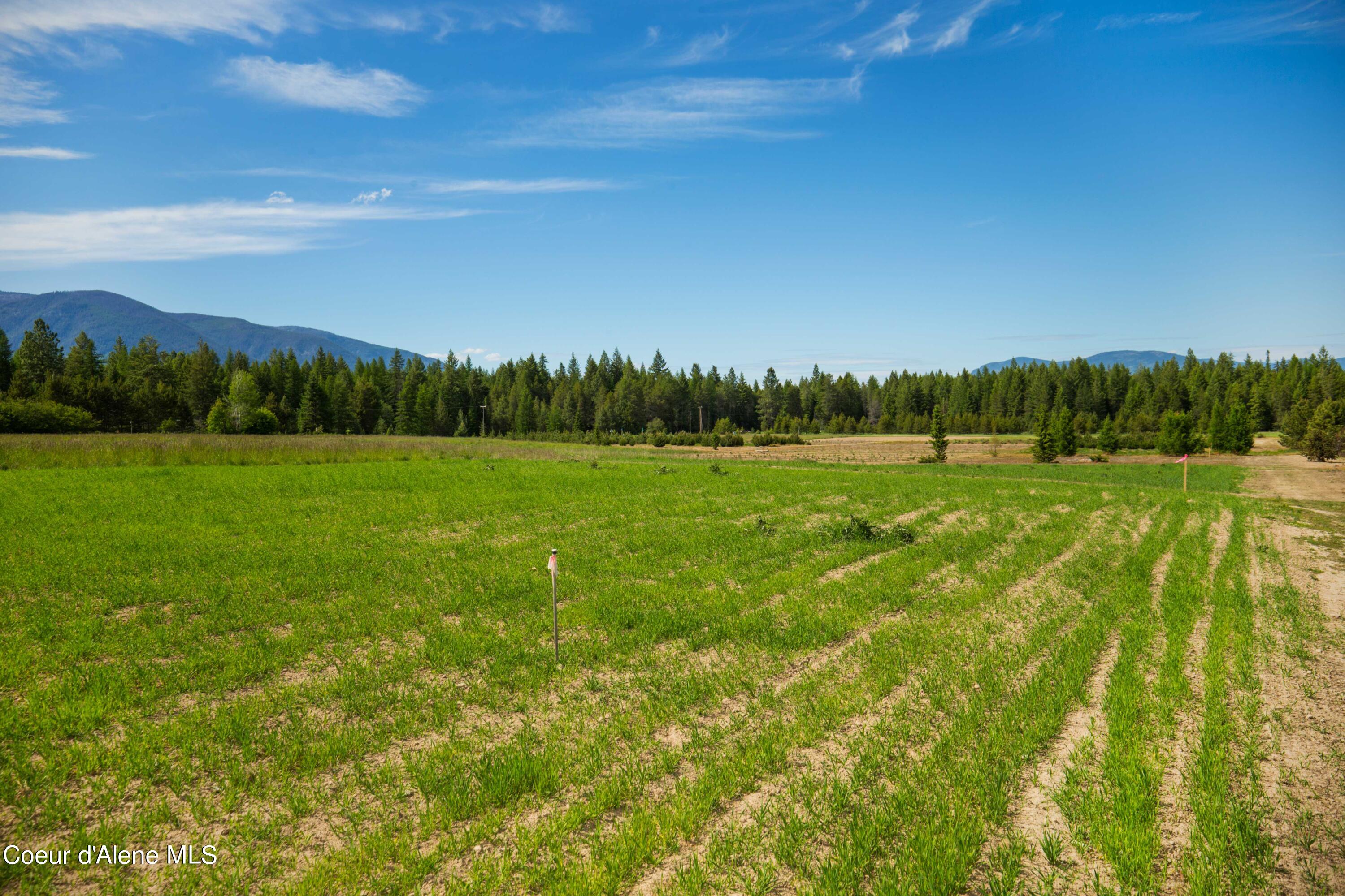 Nna Holmes Road Bonners Ferry, ID 83805 - Photo 4 of 22 HLot1_03