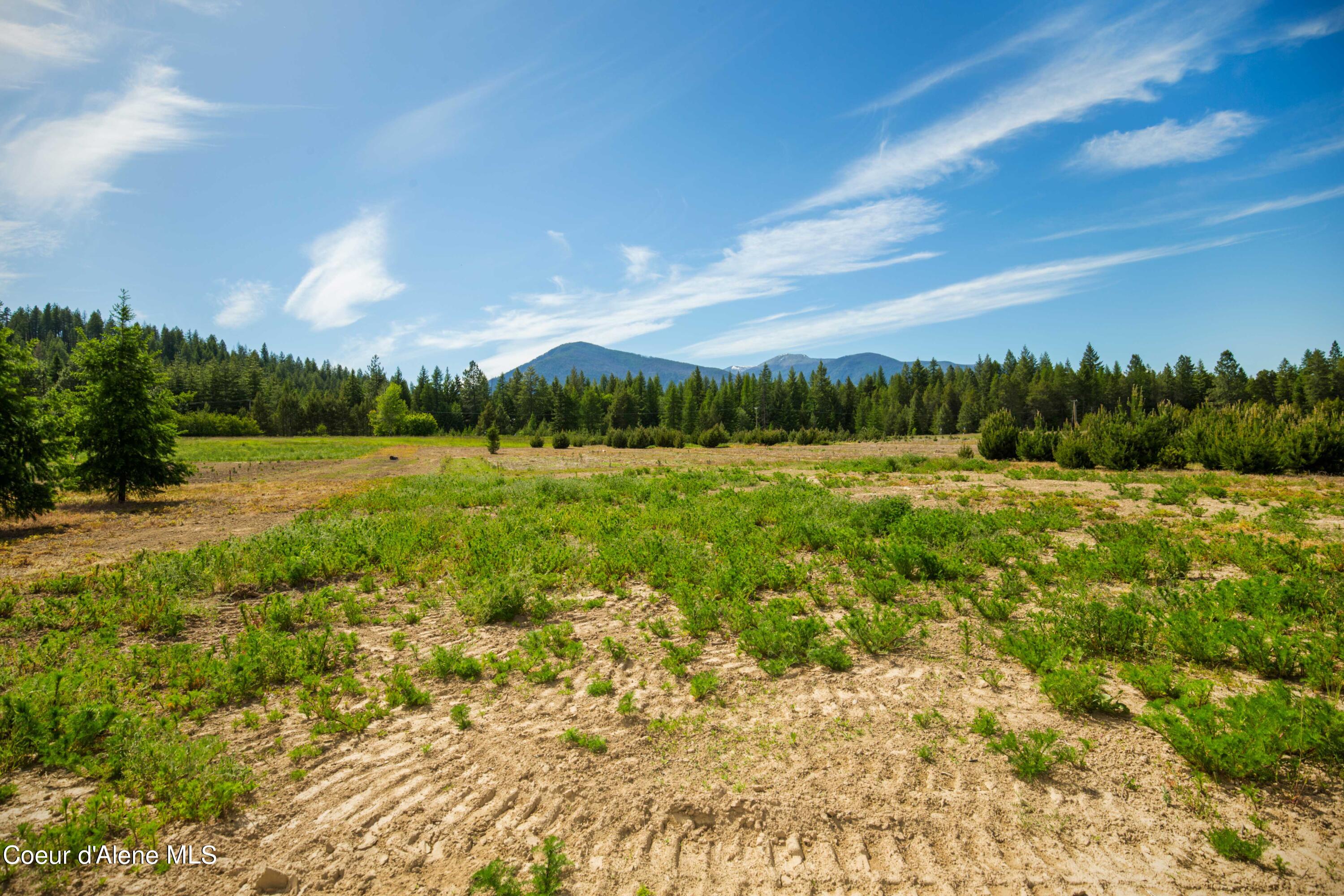 Nna Holmes Road Bonners Ferry, ID 83805 - Photo 5 of 22 HLot1_04