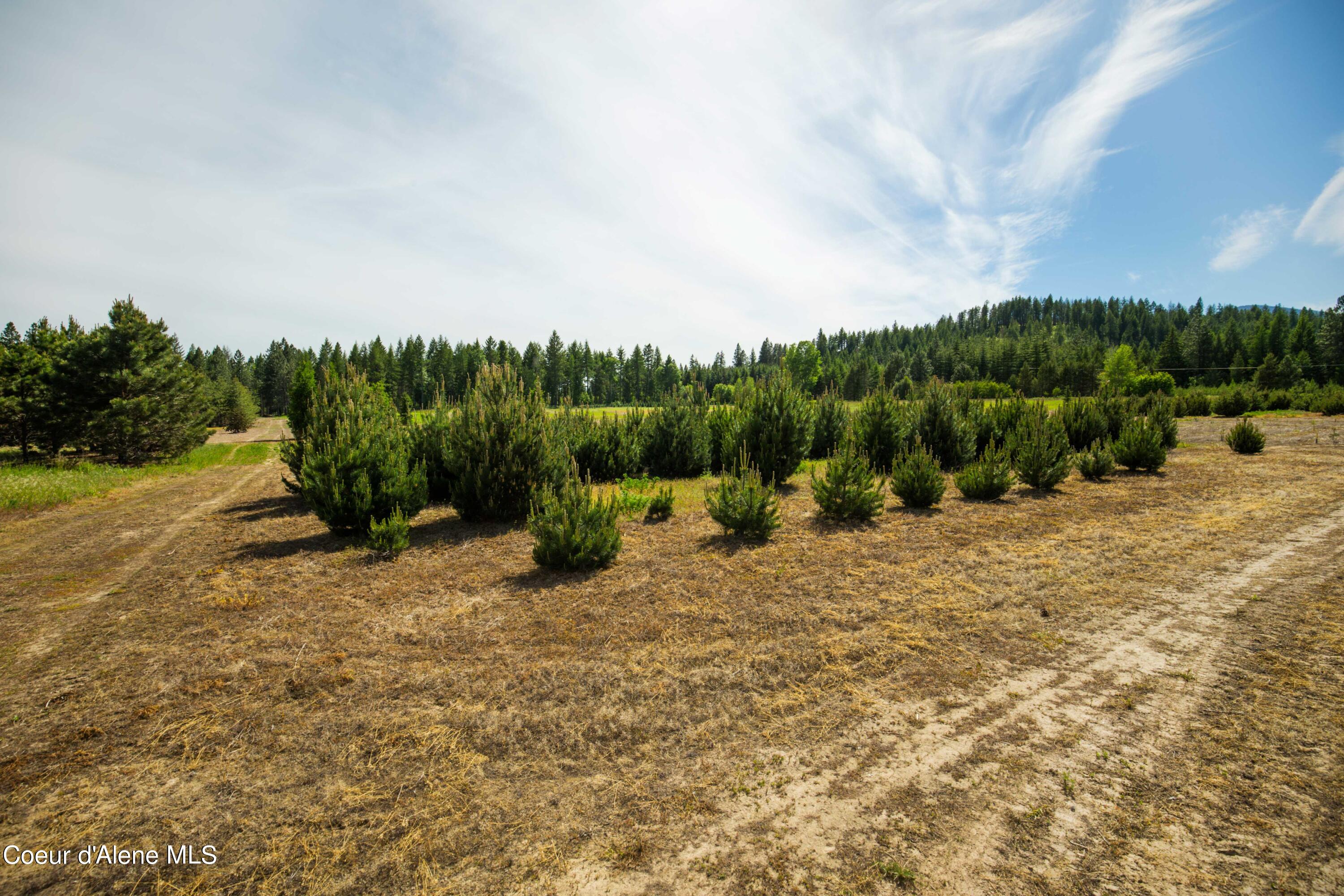 Nna Holmes Road Bonners Ferry, ID 83805 - Photo 6 of 22 HLot1_05