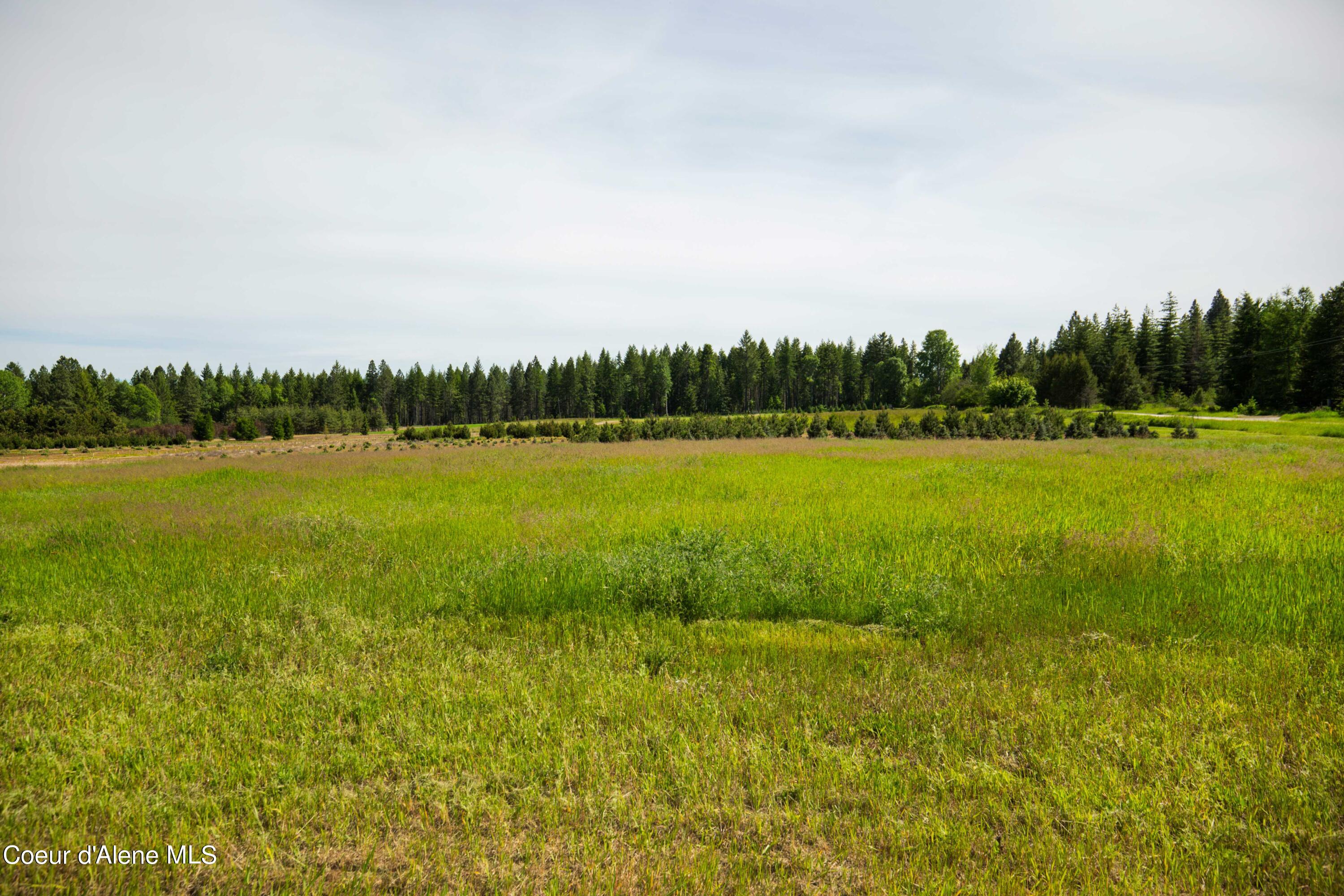 Nna Holmes Road Bonners Ferry, ID 83805 - Photo 7 of 22 HLot1_06
