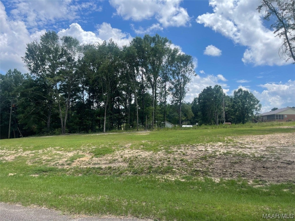 Tbd Lot#4 Tbd Road Luverne, AL 36049 - Photo 5 of 7 Gallery Image 5