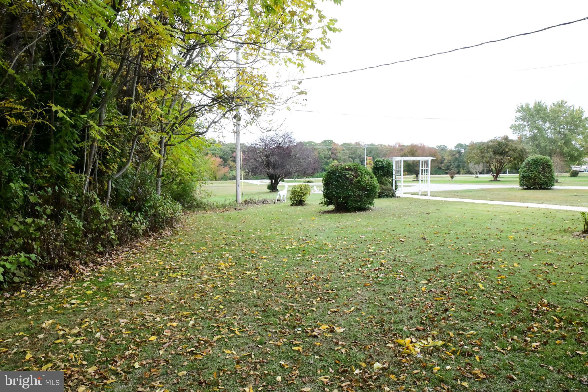 13895 Point Lookout Road Ridge, MD 20680 - Photo 42 of 47 Frony Yard
