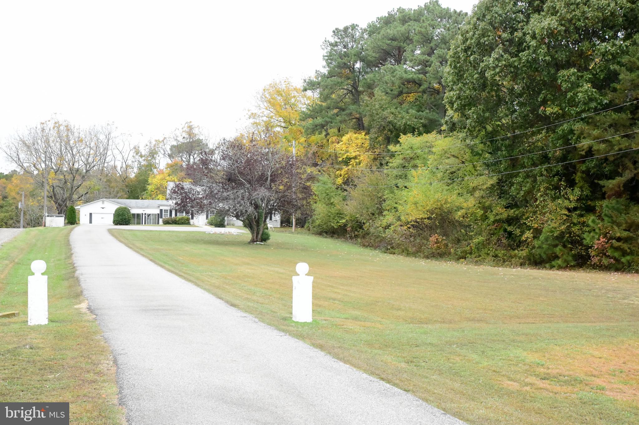 13895 Point Lookout Road Ridge, MD 20680 - Photo 44 of 47 Driveway