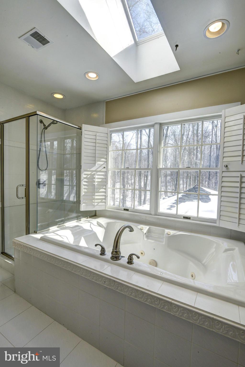 13576 Highland Road Clarksville, MD 21029 - Photo 18 of 30 Luxurious Master Bath
