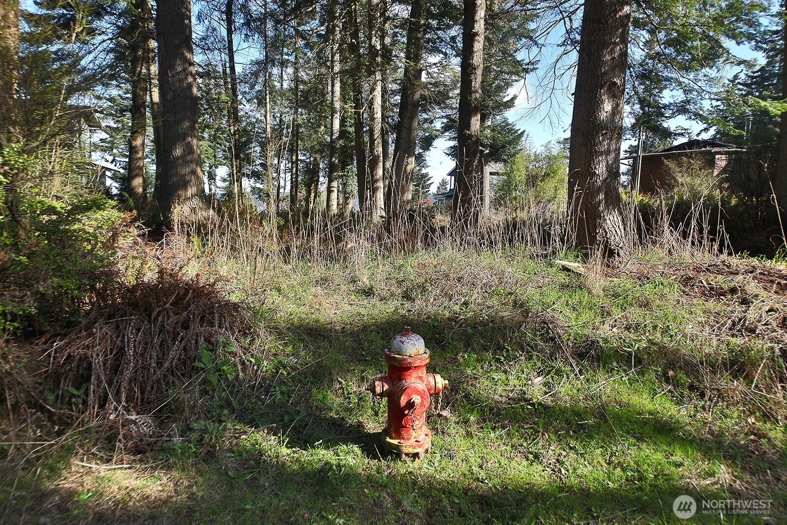 0 East Salmonberry Road Langley, WA 98260 - Photo 11 of 31