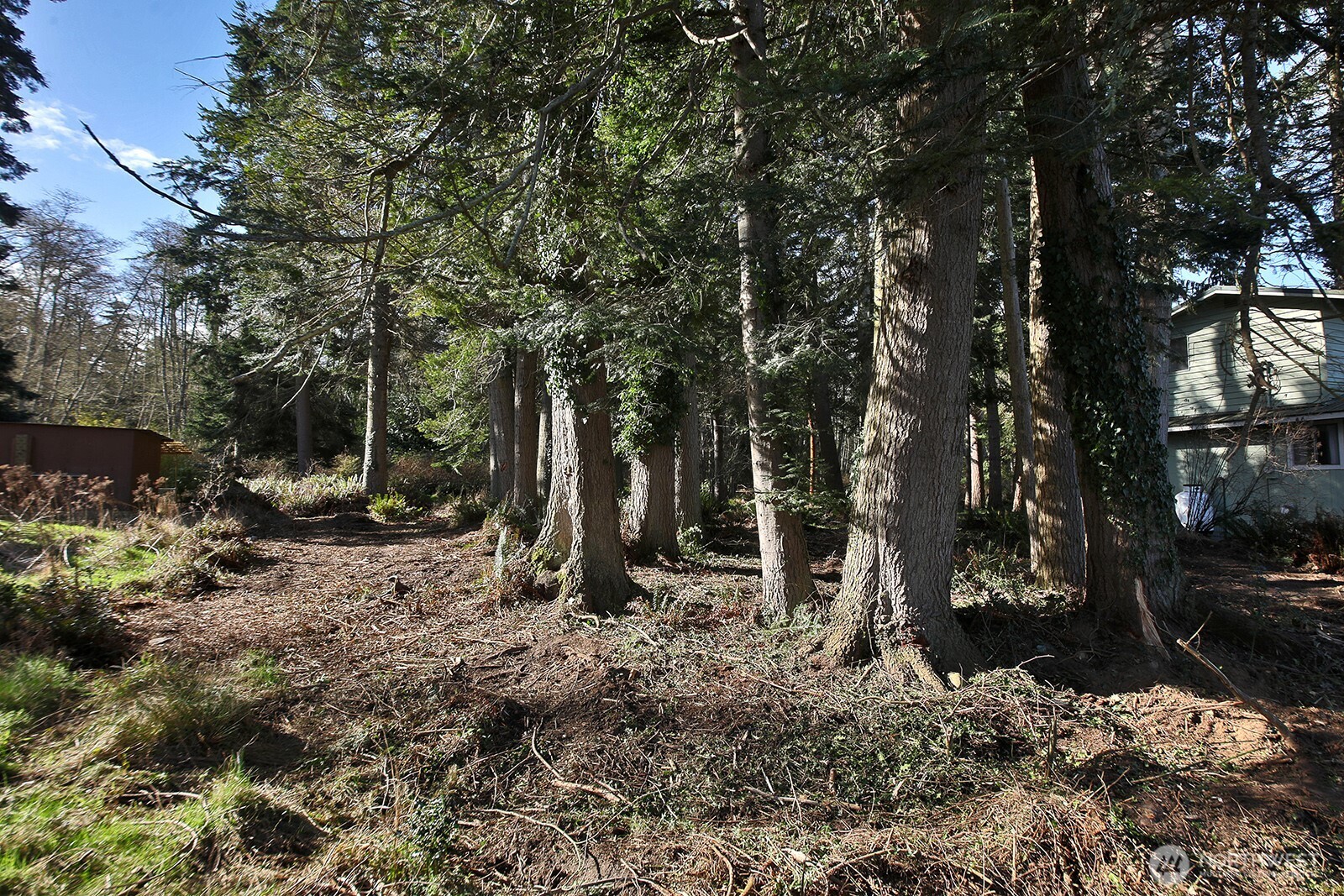 0 East Salmonberry Road Langley, WA 98260 - Photo 14 of 31