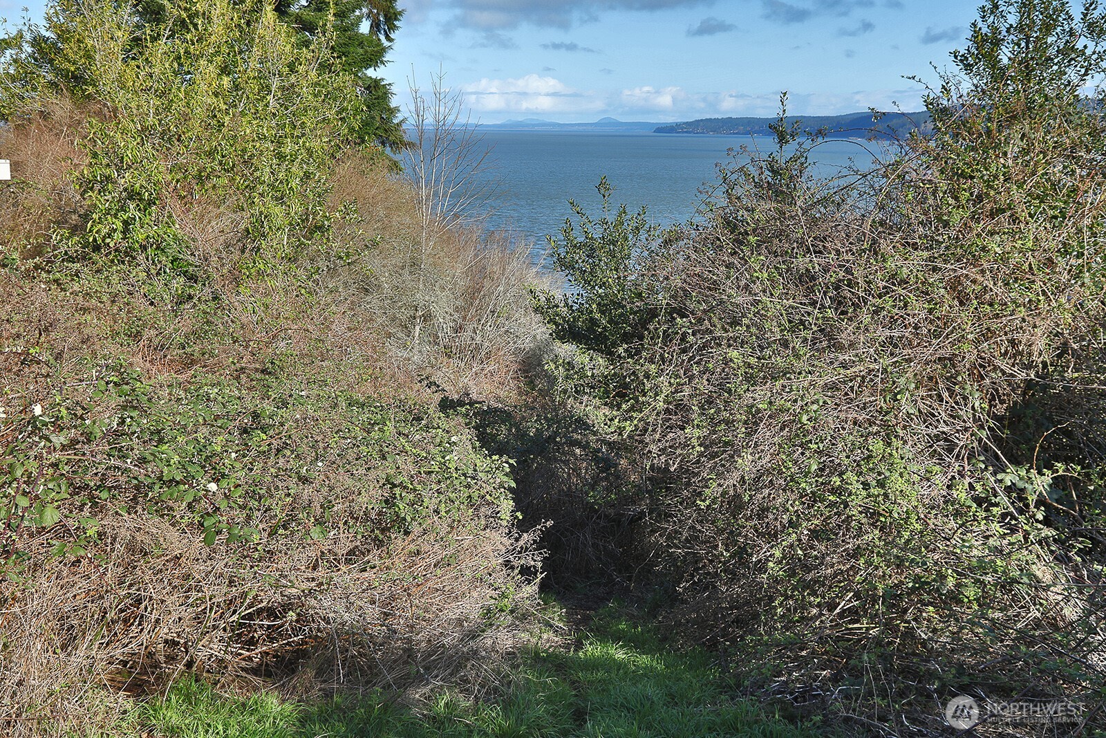 0 East Salmonberry Road Langley, WA 98260 - Photo 6 of 31