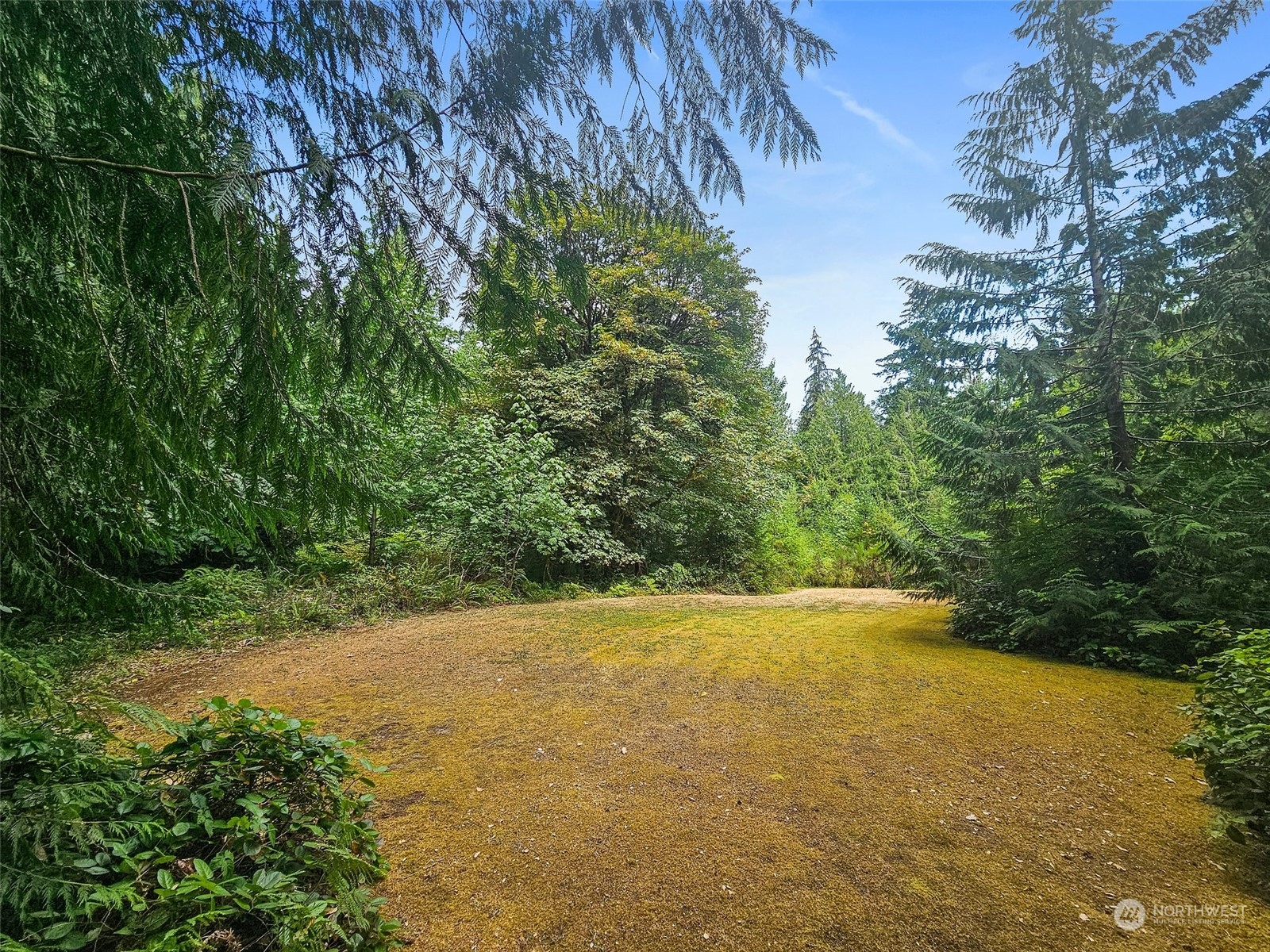 5769 Southeast Nelson Road Olalla, WA 98359 - Photo 25 of 29 Gallery Image 25