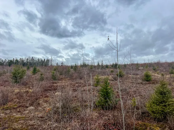 $295,000 | 1 Route 1, Jonesboro, ME 04648