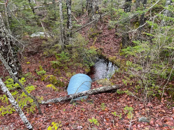 $295,000 | 1 Route 1, Jonesboro, ME 04648