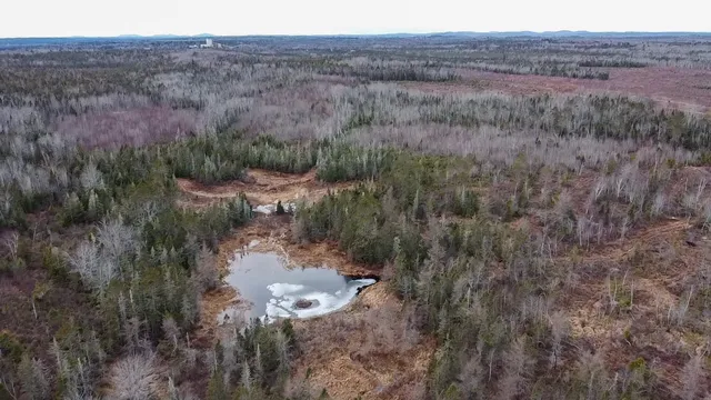 $295,000 | 1 Route 1, Jonesboro, ME 04648