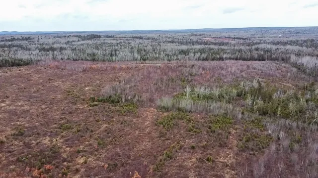 $295,000 | 1 Route 1, Jonesboro, ME 04648