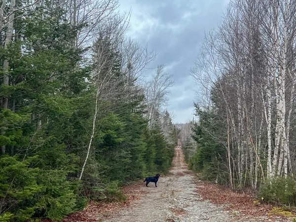 $295,000 | 1 Route 1, Jonesboro, ME 04648