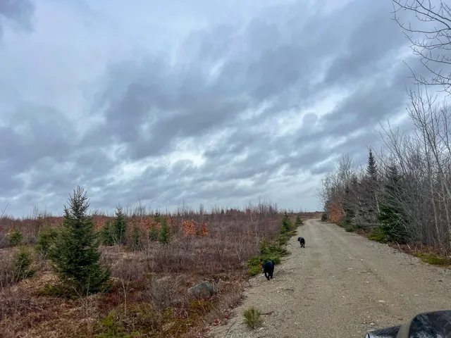 $295,000 | 1 Route 1, Jonesboro, ME 04648